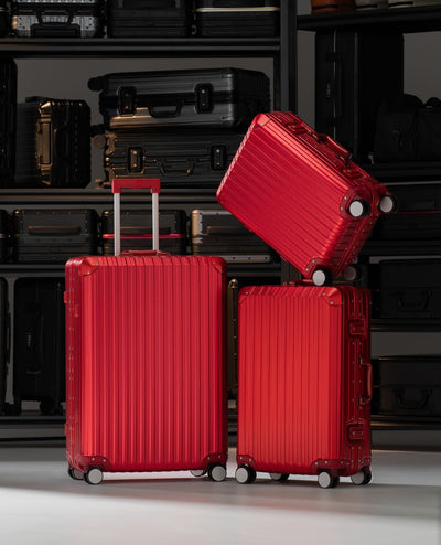 Trek Suitcase Aluminum Silver