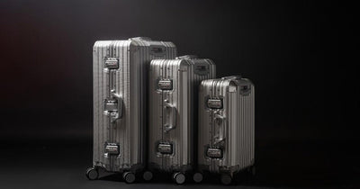 Trek Suitcase Aluminum Silver