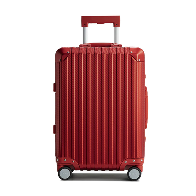 Trek Suitcase Aluminum Silver